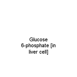 Glucose 6-phosphate [in liver cell]